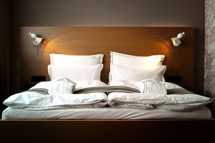 Alouette Wall Lamp