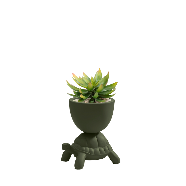 Turtle Carry XS Ceramic Planter