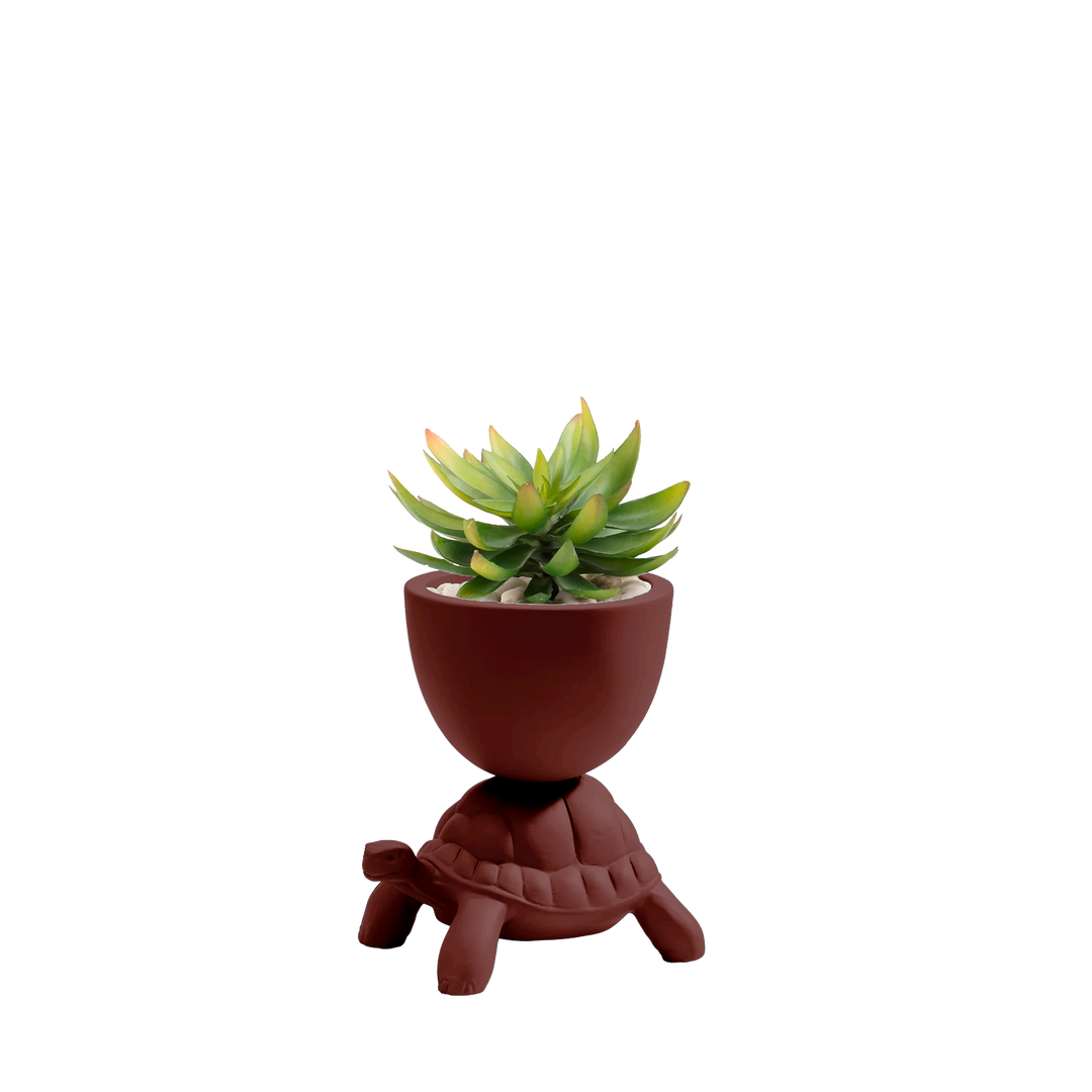 Turtle Carry XS Ceramic Planter