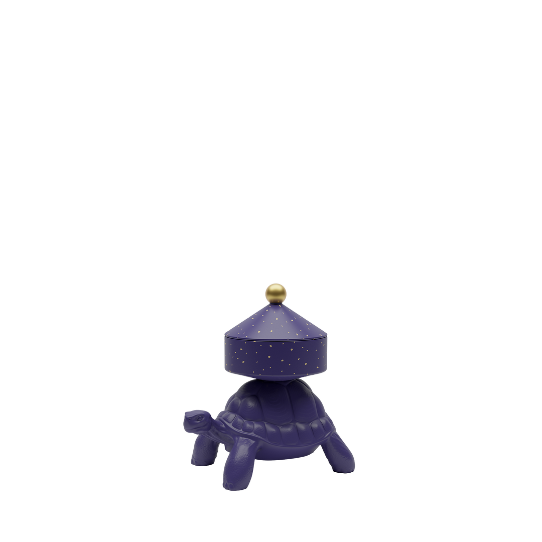 Turtle Carry XS Treasure Box