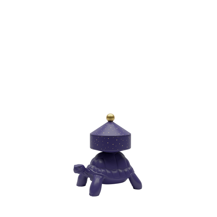 Turtle Carry XS Treasure Box