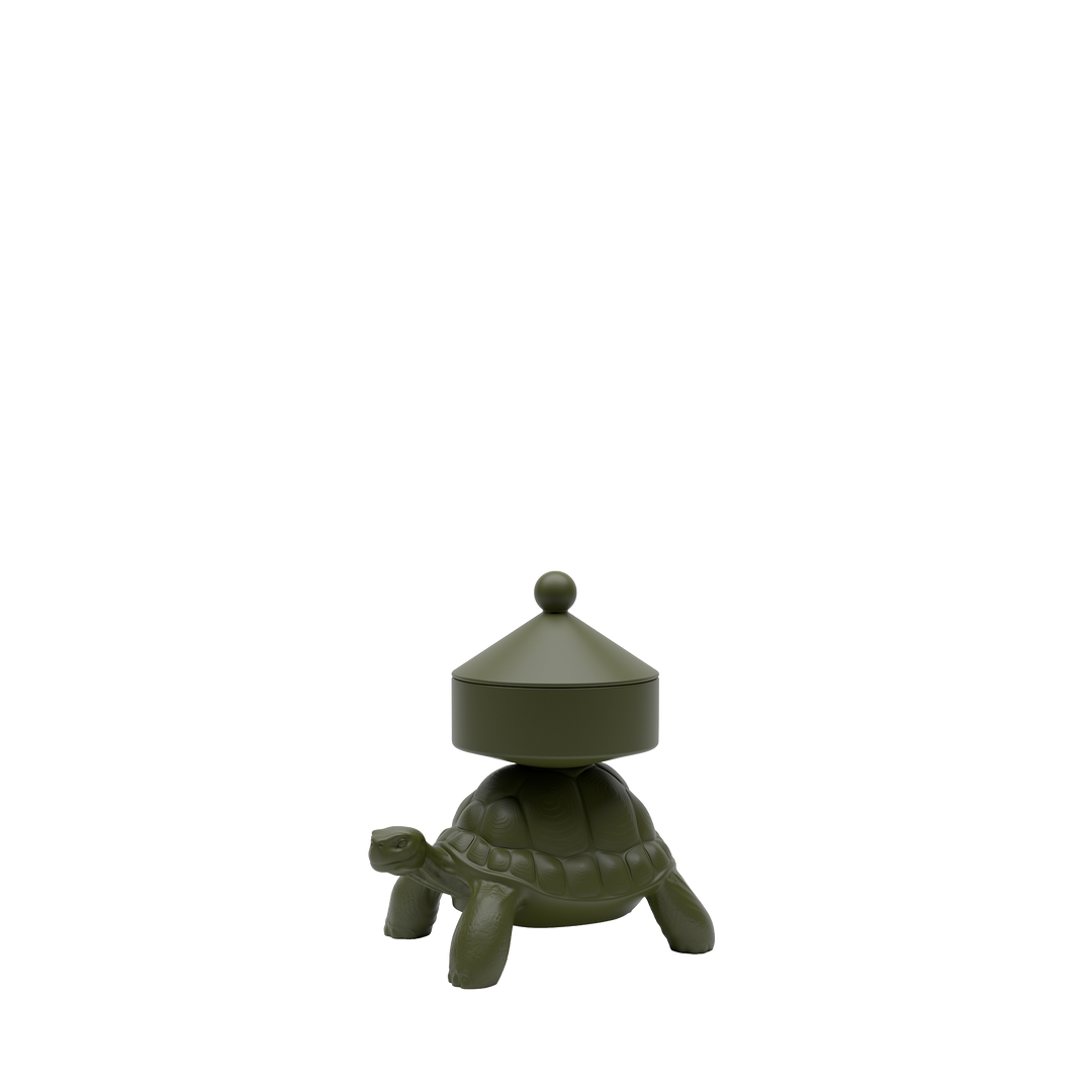 Turtle Carry XS Treasure Box