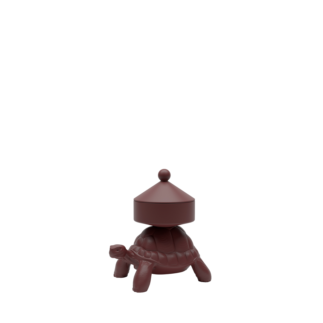 Turtle Carry XS Treasure Box