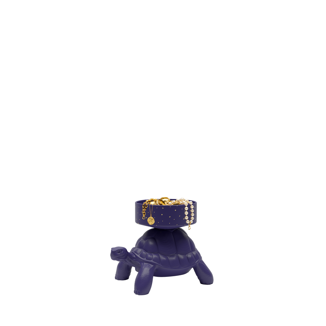 Turtle Carry XS Treasure Box