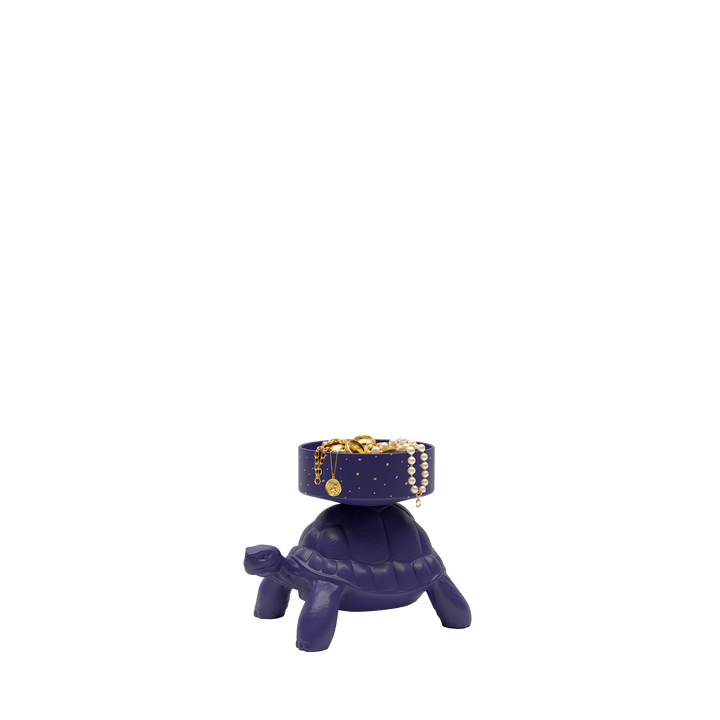 Turtle Carry XS Treasure Box