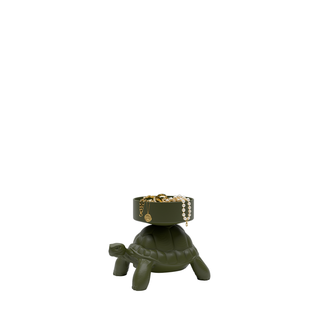 Turtle Carry XS Treasure Box