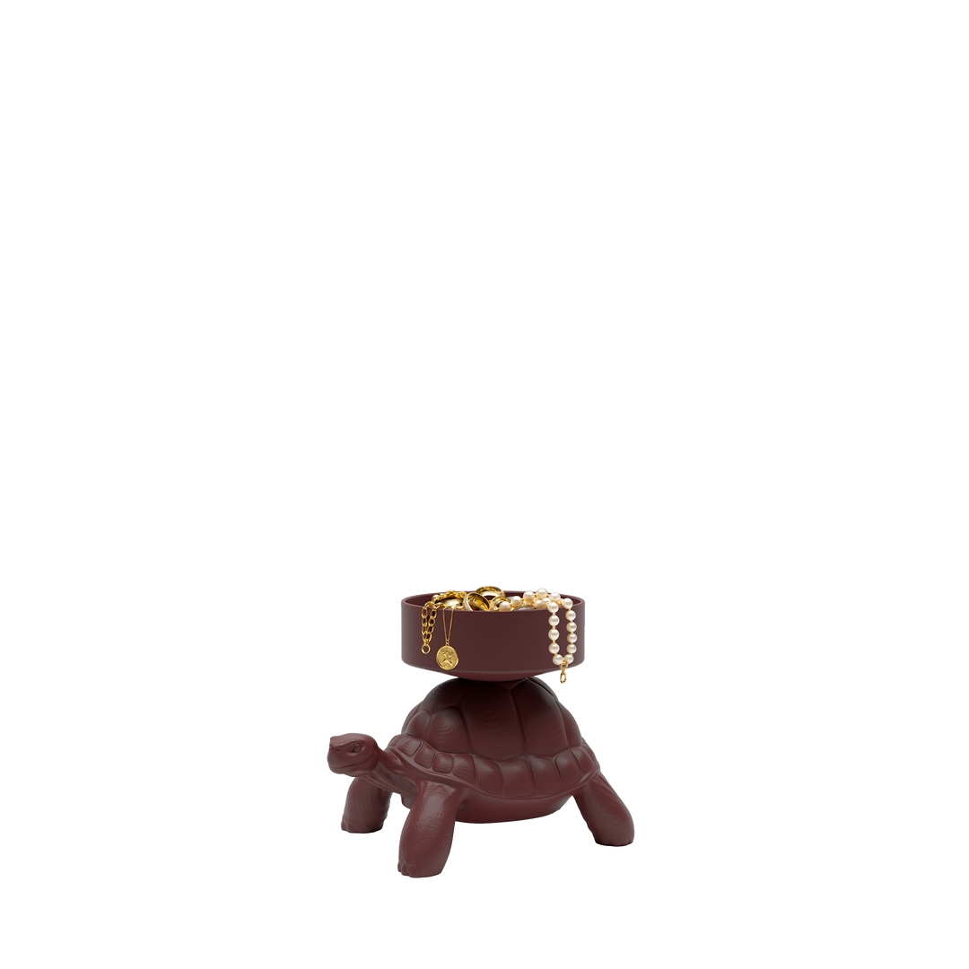 Turtle Carry XS Treasure Box