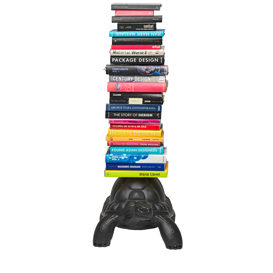 Turtle Carry Bookcase