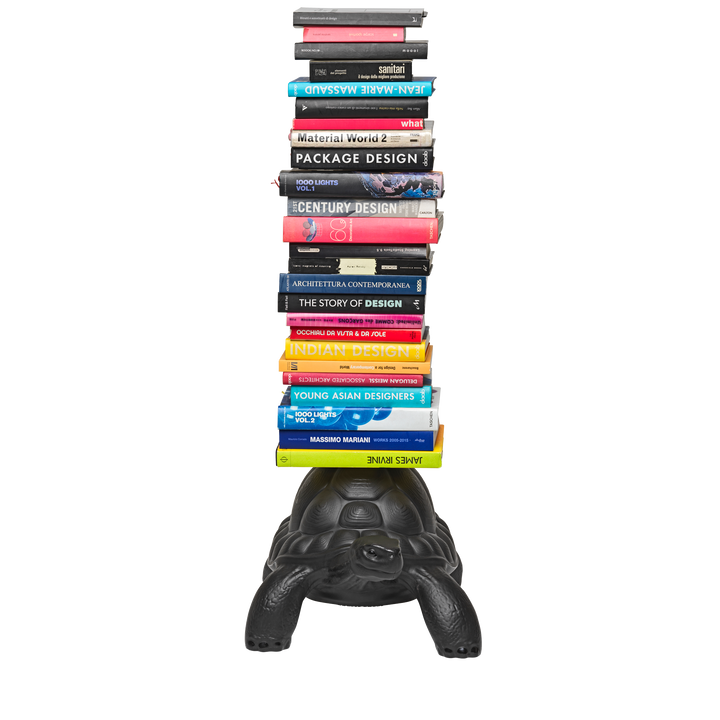 Turtle Carry Bookcase