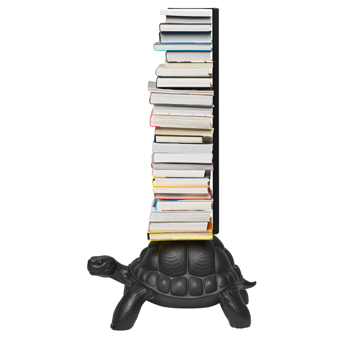 Turtle Carry Bookcase