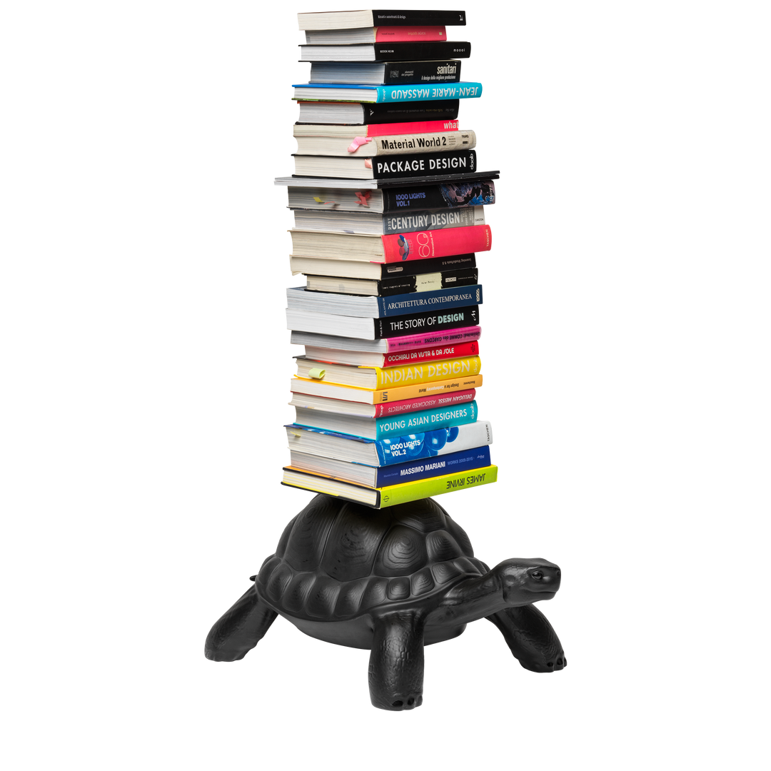 Turtle Carry Bookcase