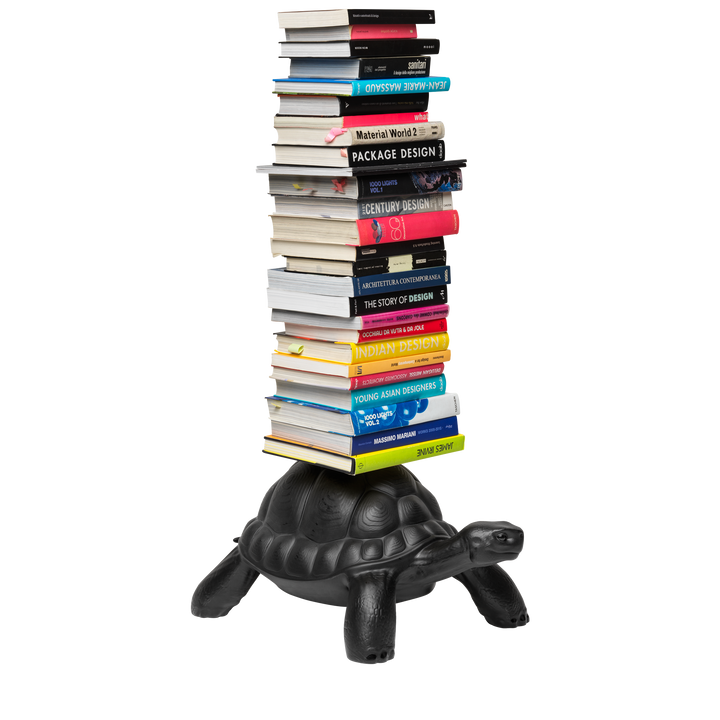 Turtle Carry Bookcase