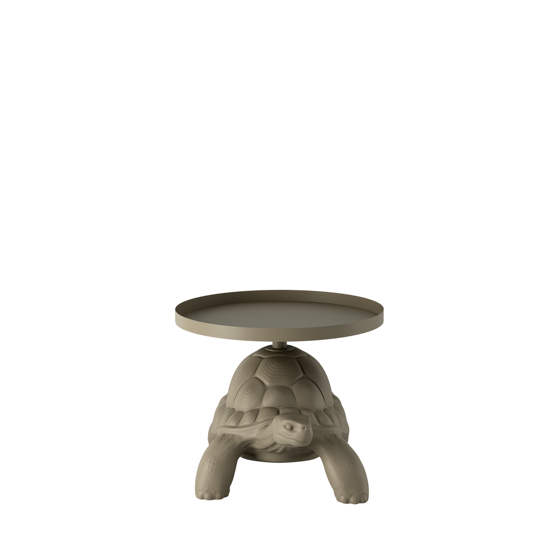 Turtle Carry Table Tray