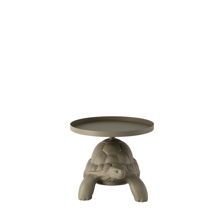 Turtle Carry Table Tray