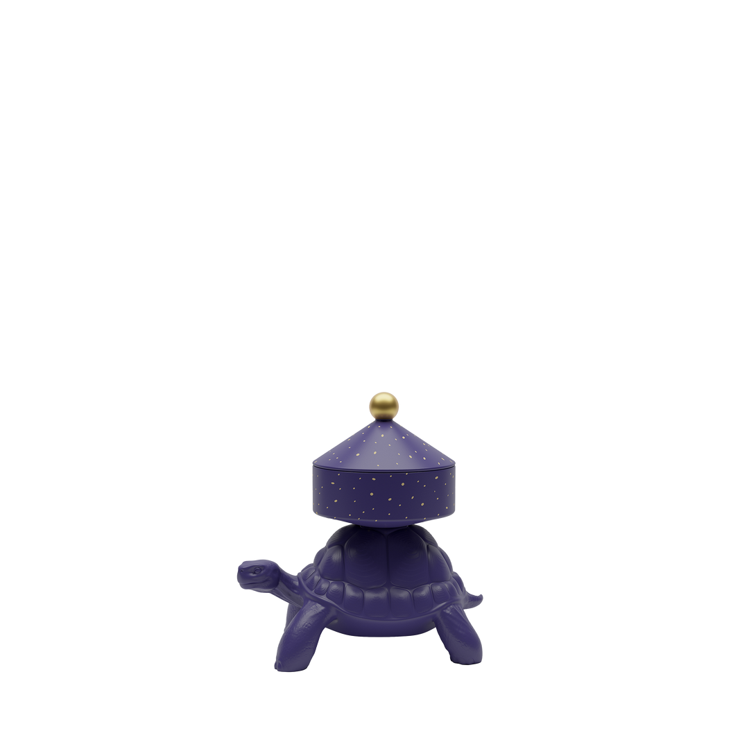 Turtle Carry XS Treasure Box