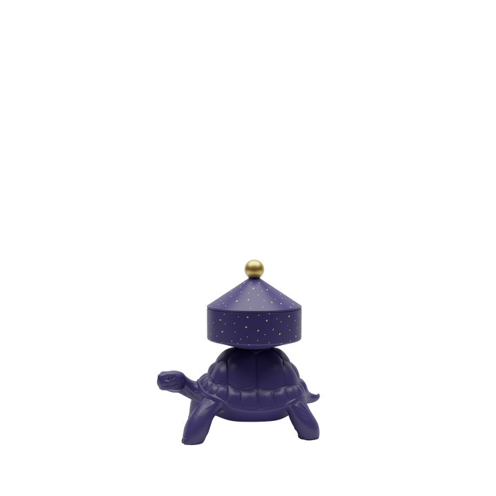 Turtle Carry XS Treasure Box