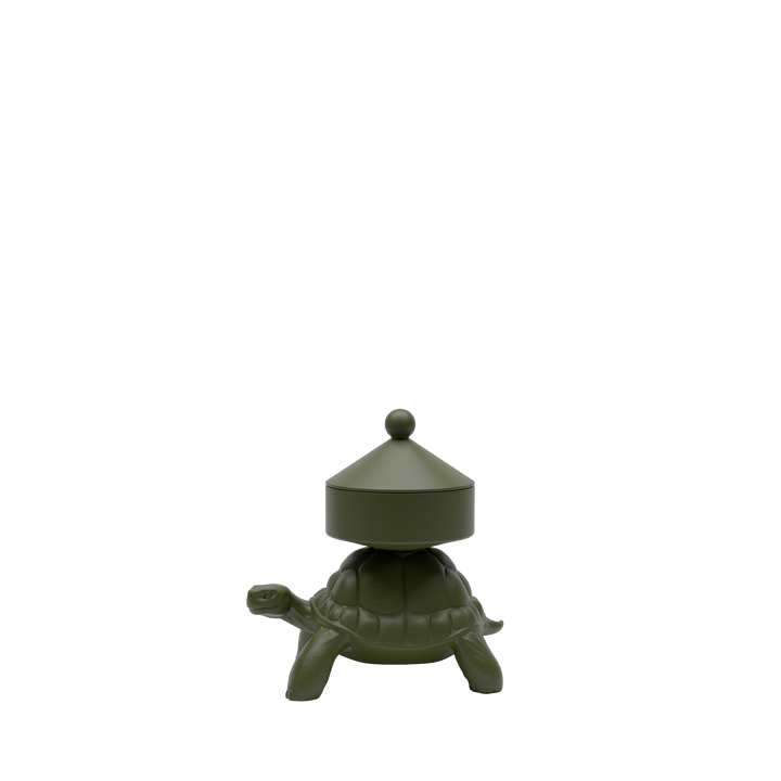 Turtle Carry XS Treasure Box