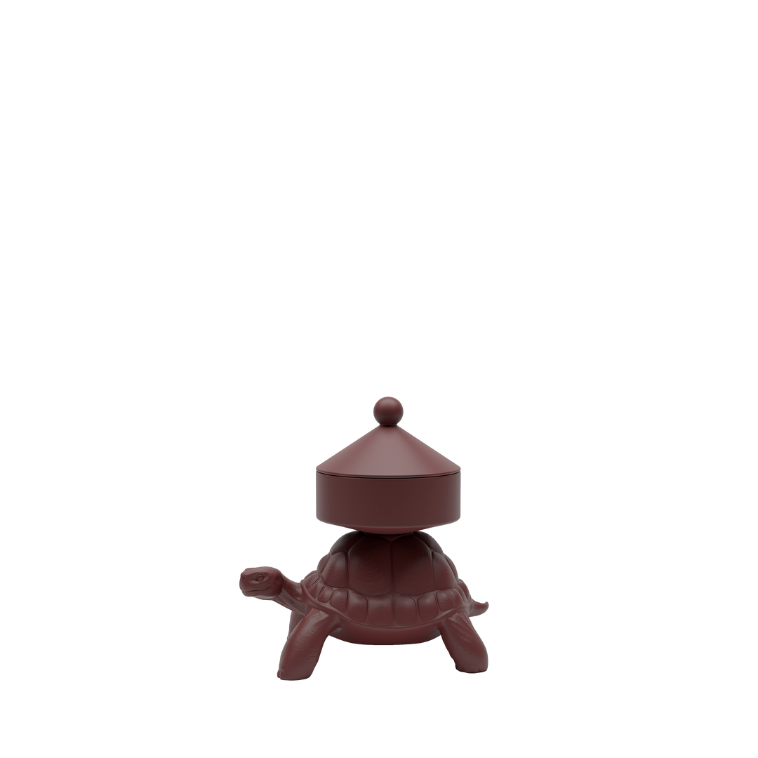 Turtle Carry XS Treasure Box