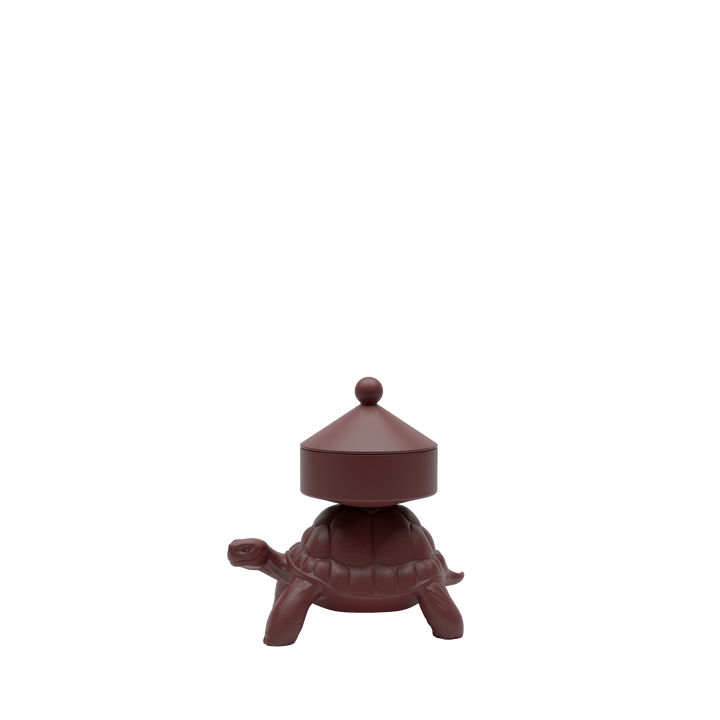 Turtle Carry XS Treasure Box