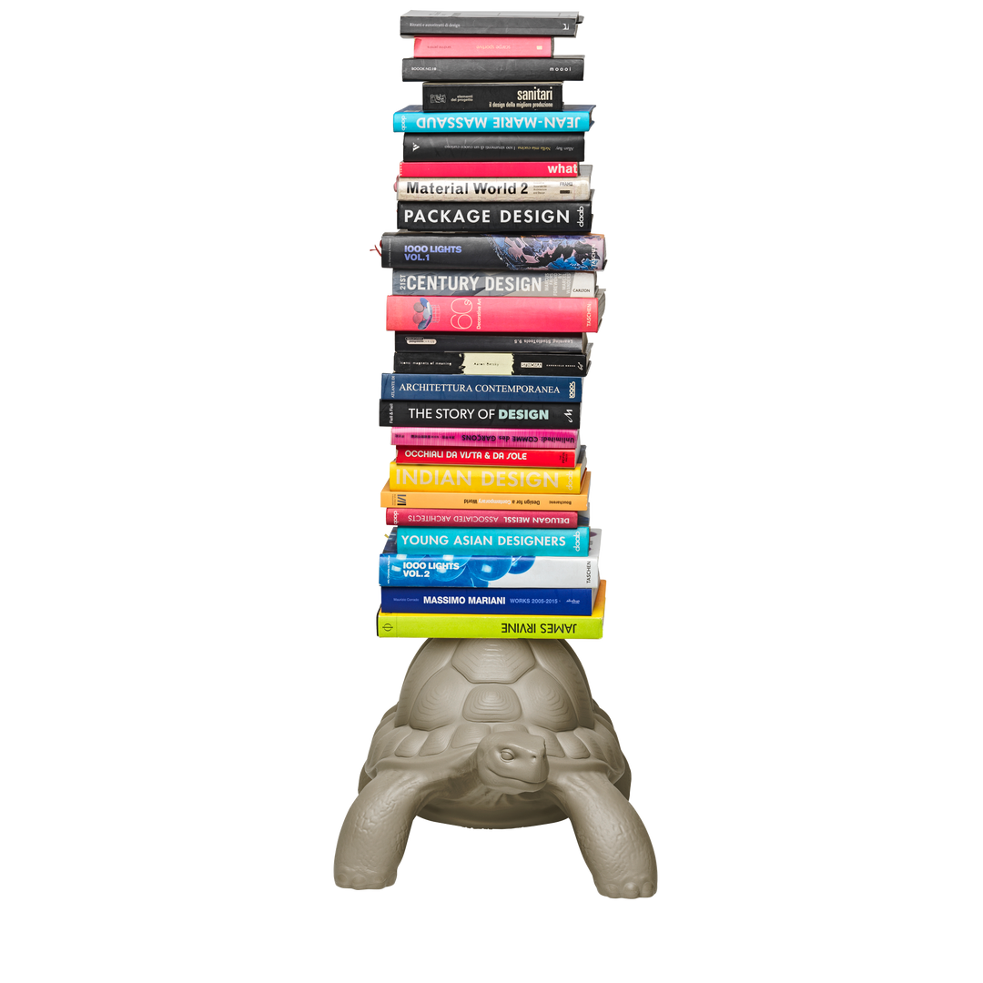 Turtle Carry Bookcase