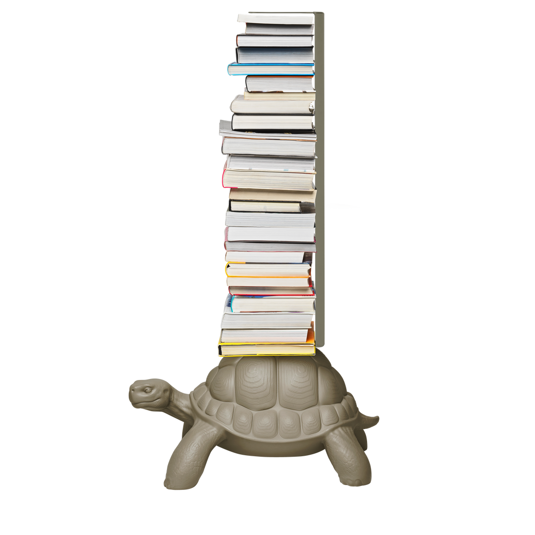 Turtle Carry Bookcase