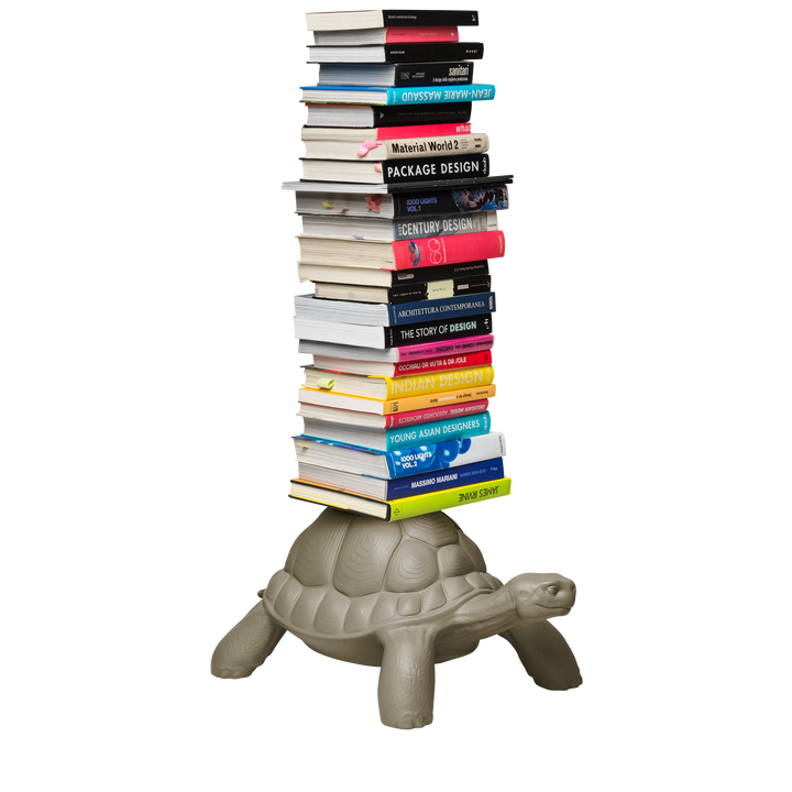 Turtle Carry Bookcase