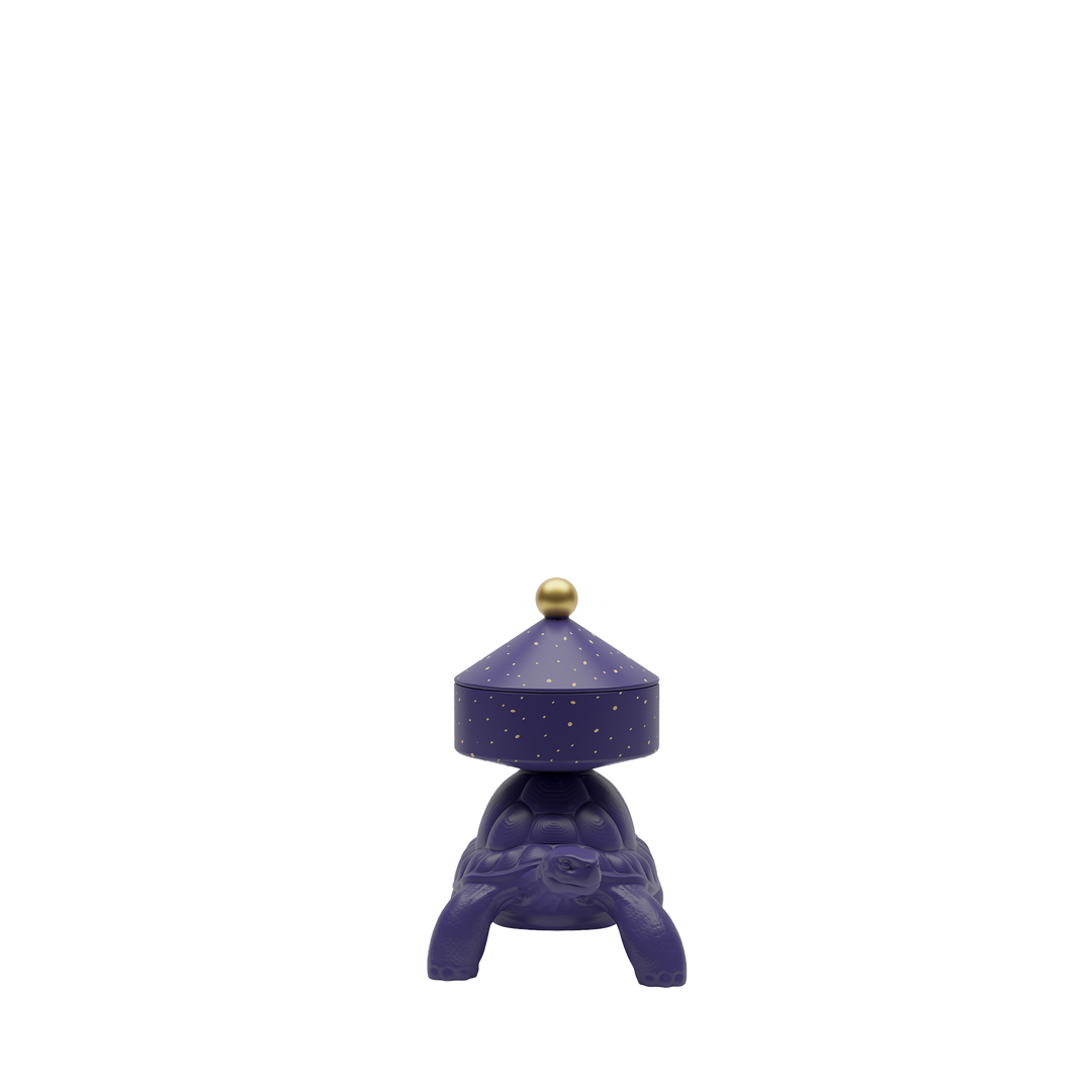 Turtle Carry XS Treasure Box