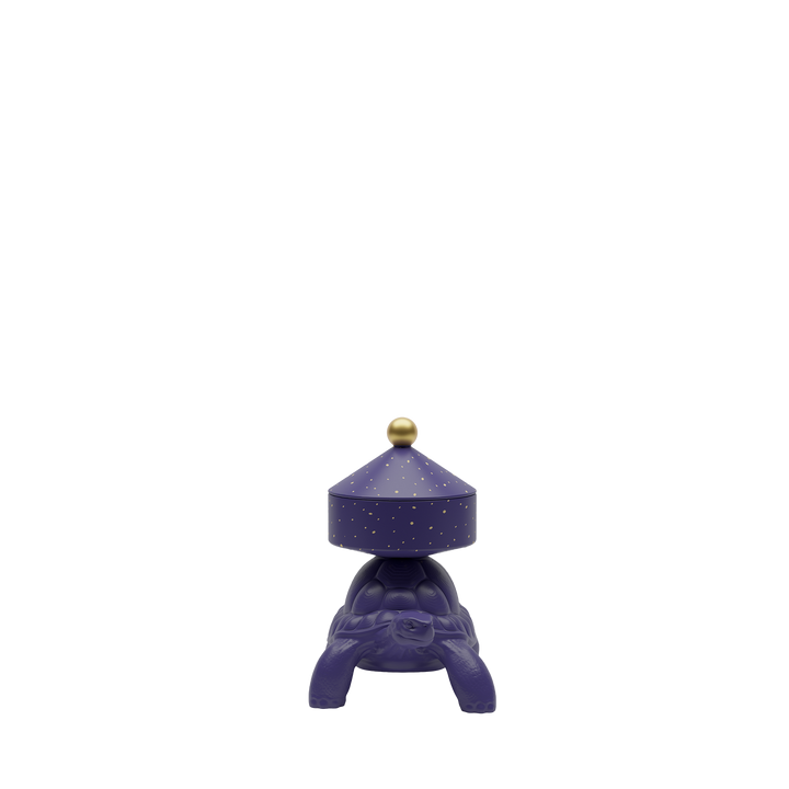 Turtle Carry XS Treasure Box