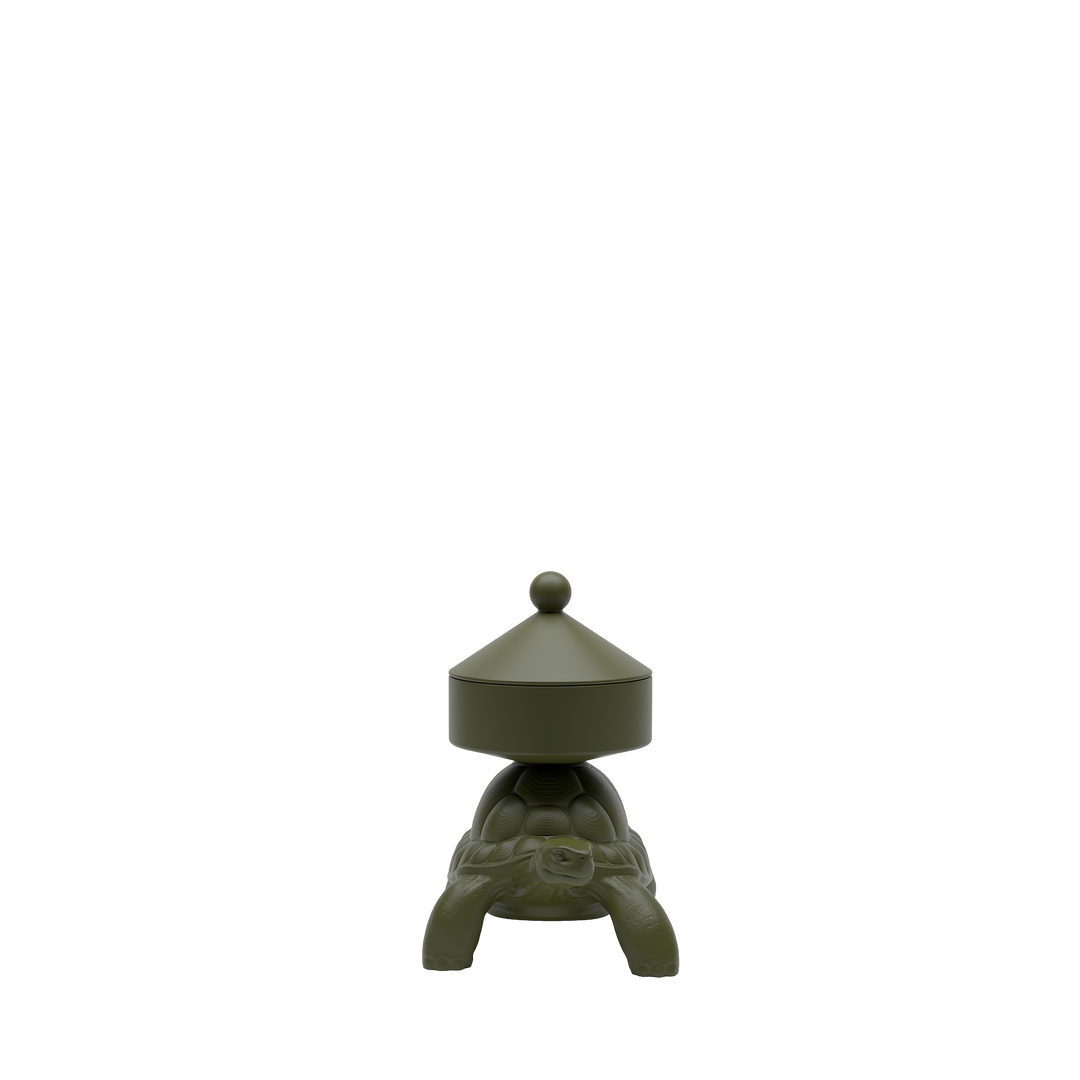 Turtle Carry XS Treasure Box
