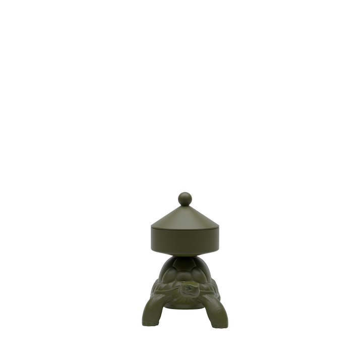 Turtle Carry XS Treasure Box