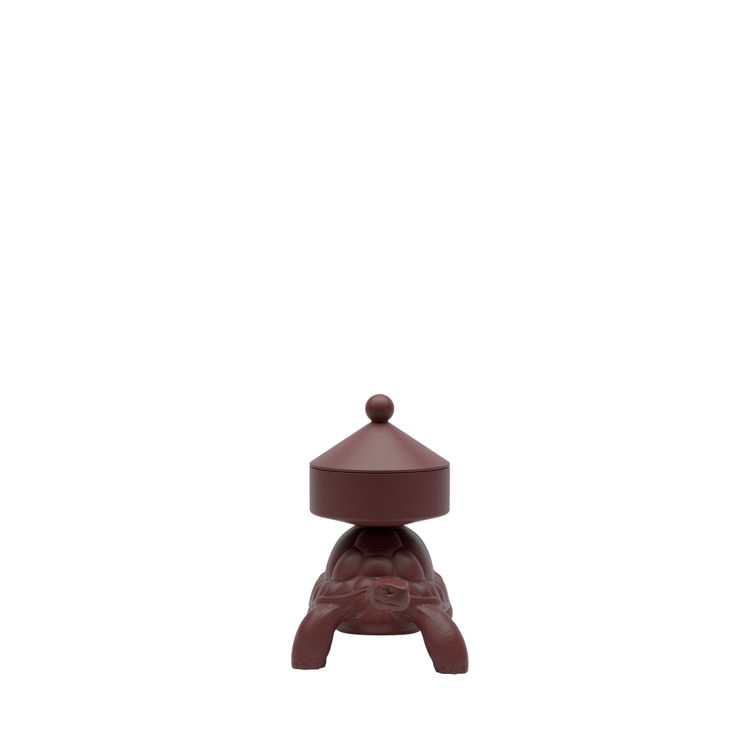 Turtle Carry XS Treasure Box