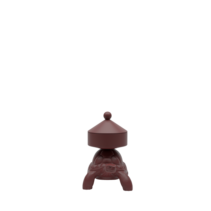 Turtle Carry XS Treasure Box