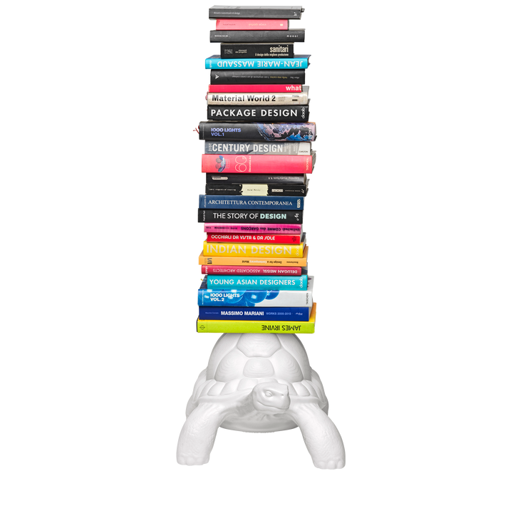 Turtle Carry Bookcase