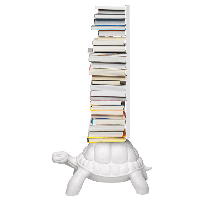 Turtle Carry Bookcase