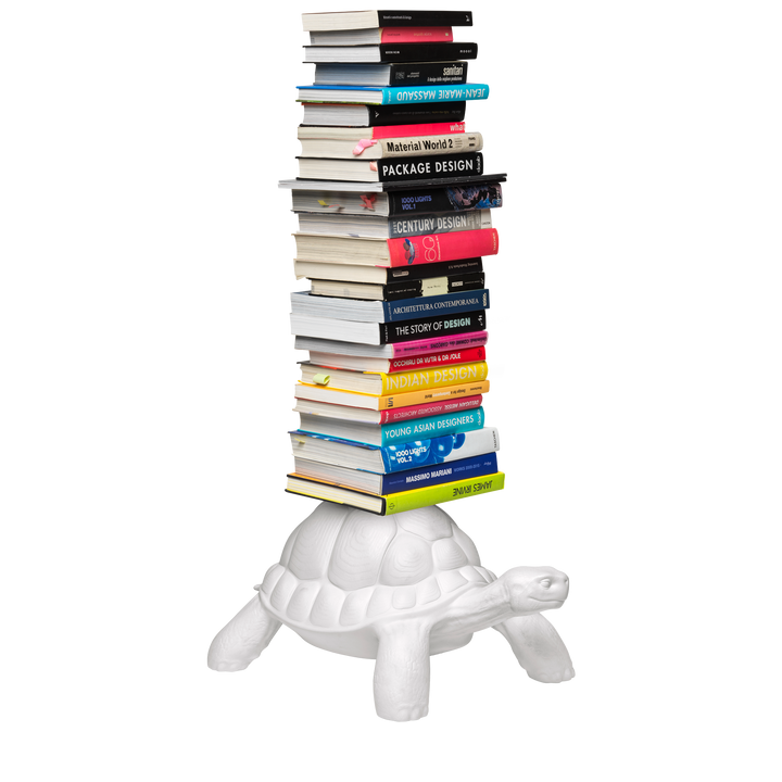 Turtle Carry Bookcase