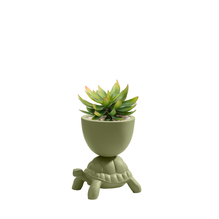 Turtle Carry XS Ceramic Planter