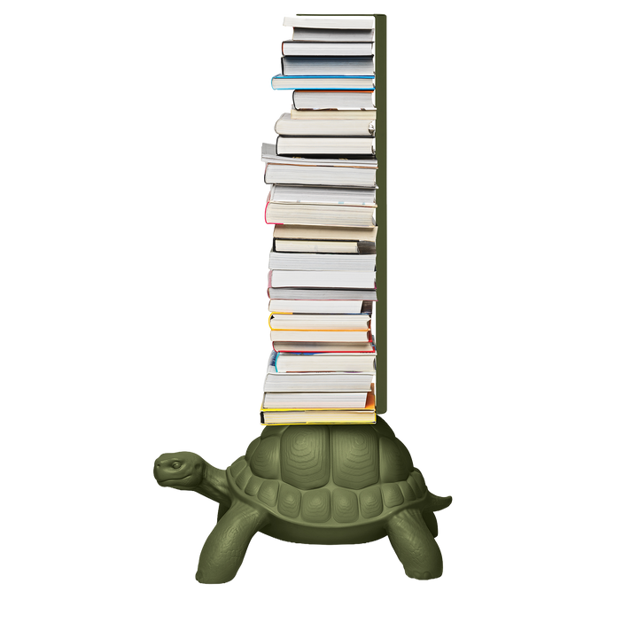 Turtle Carry Bookcase