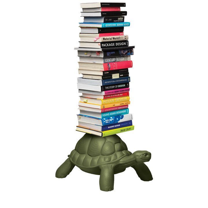 Turtle Carry Bookcase