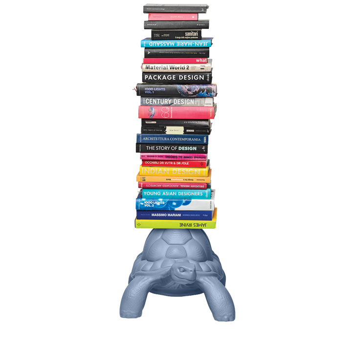 Turtle Carry Bookcase