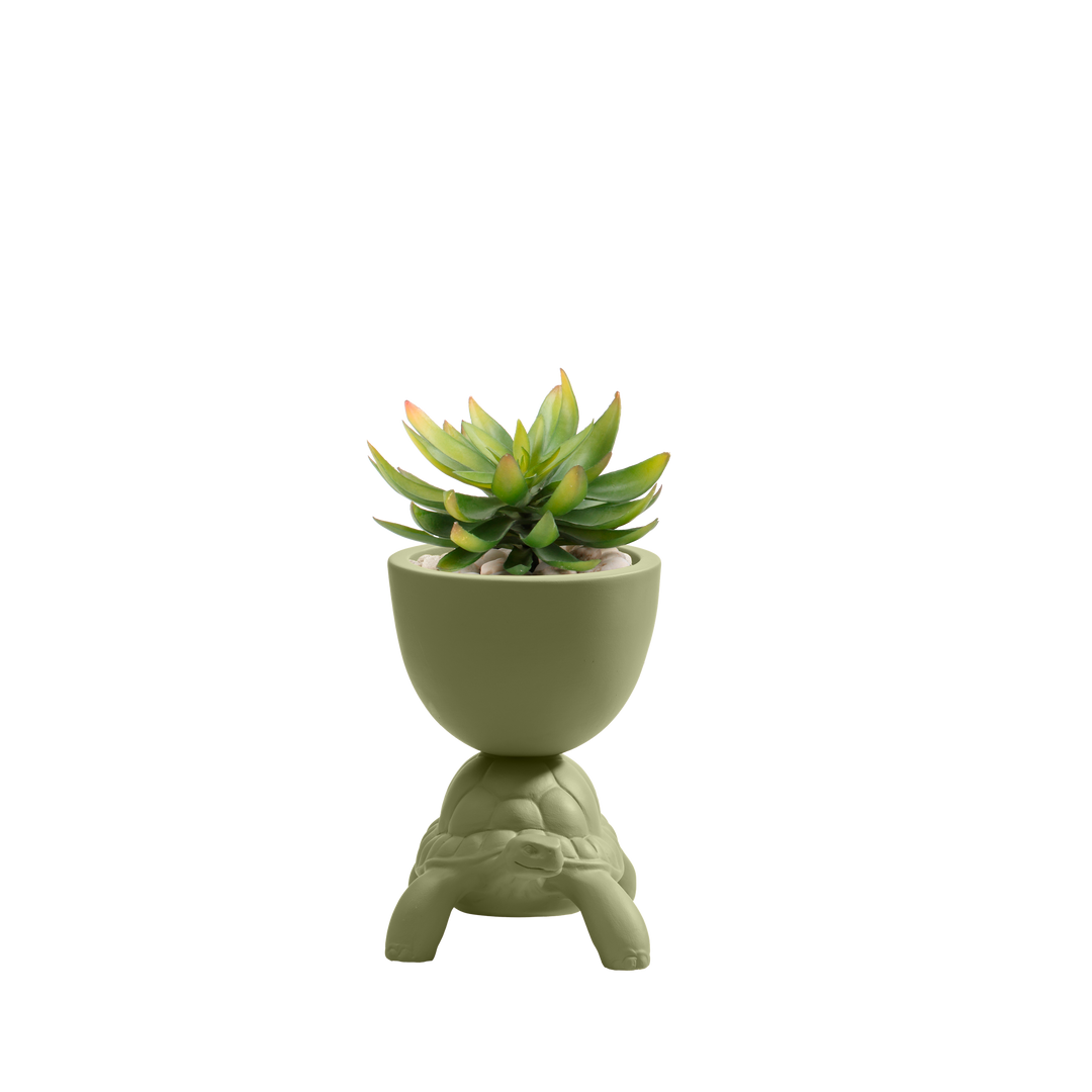 Turtle Carry XS Ceramic Planter