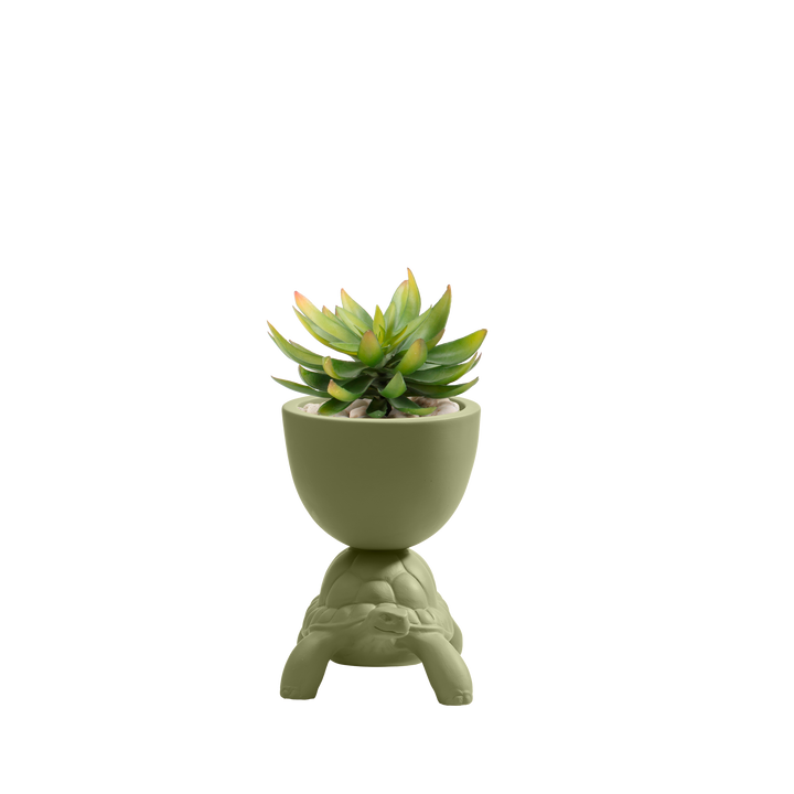 Turtle Carry XS Ceramic Planter