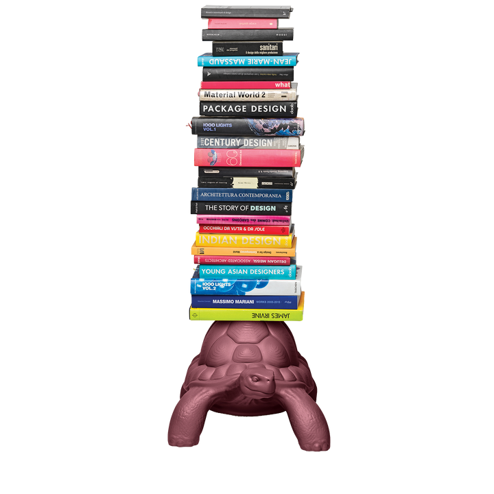 Turtle Carry Bookcase