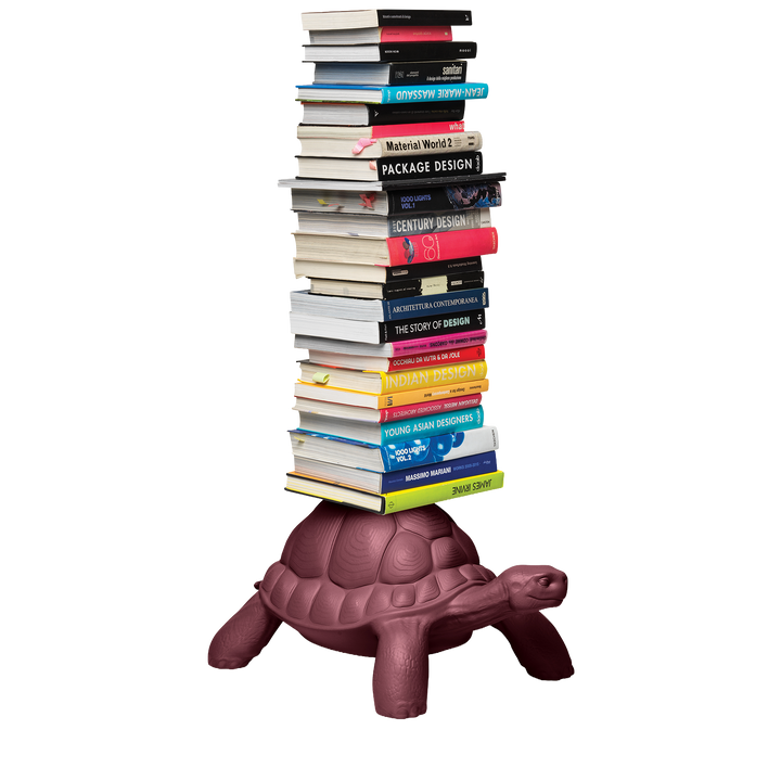 Turtle Carry Bookcase