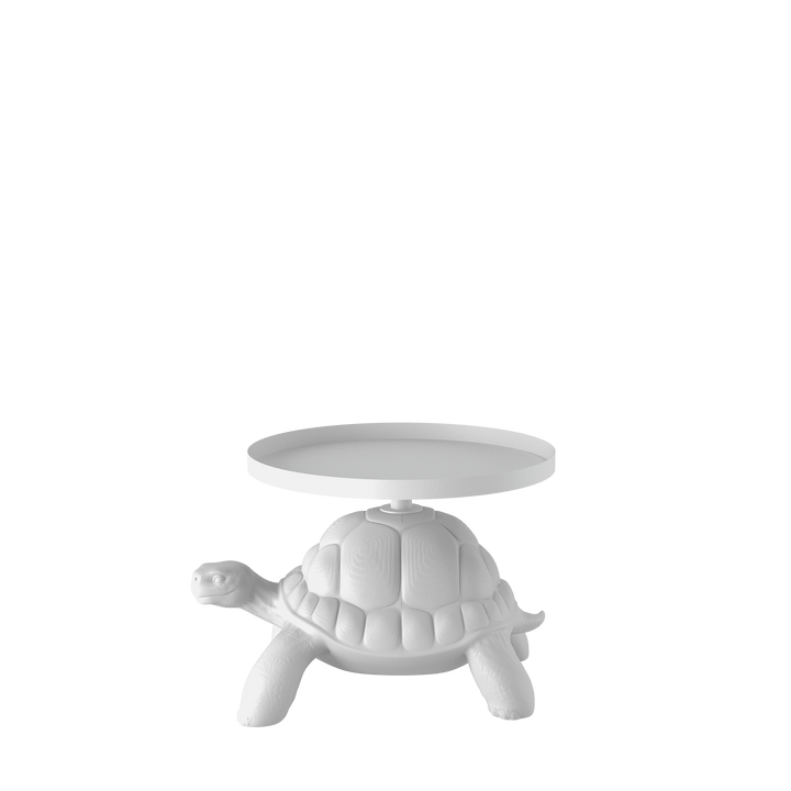 Turtle Carry Table Tray