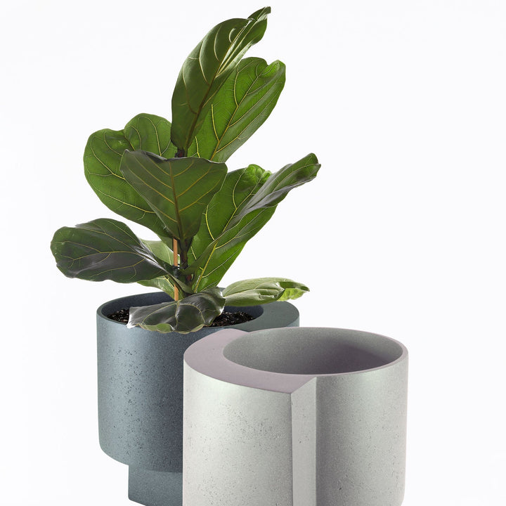 Platform Planter Large