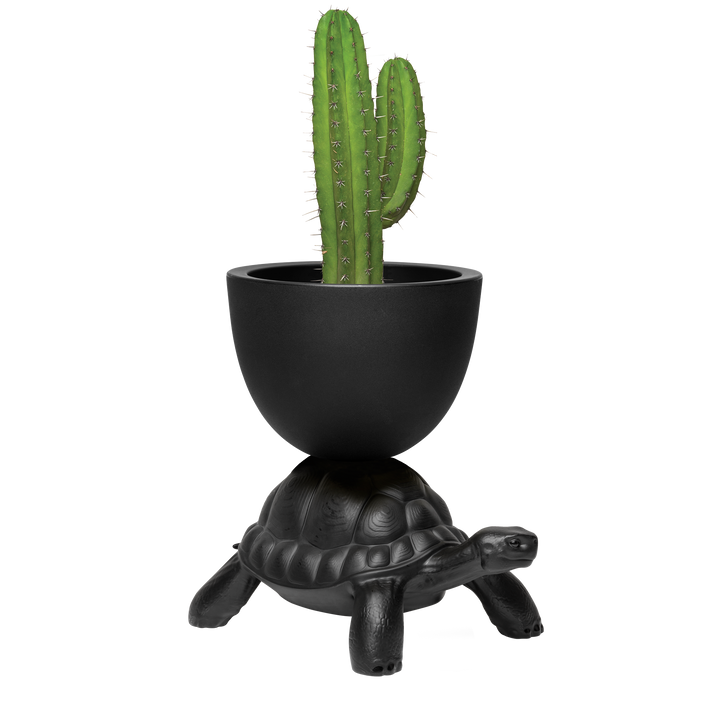 Turtle Carry Planter and Champagne Cooler by Qeeboo