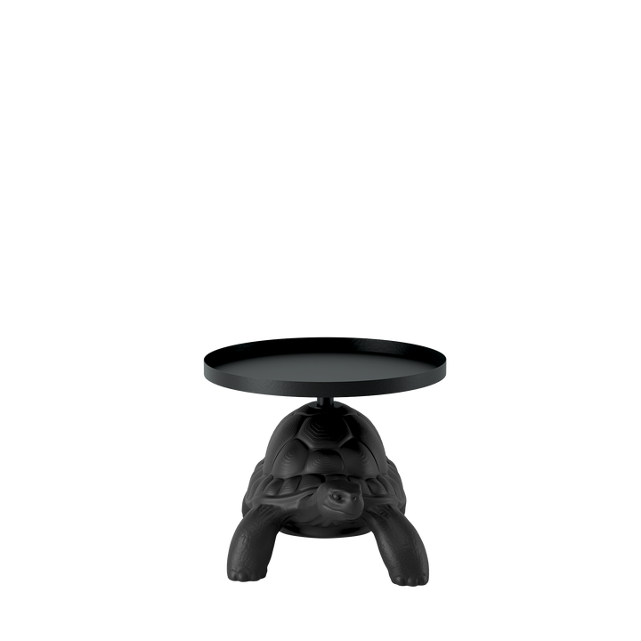 Turtle Carry Table Tray