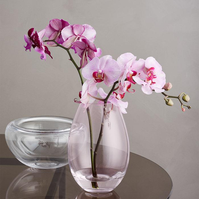 Holmegaard Provence Bowl, Clear, Ø: 7.5"