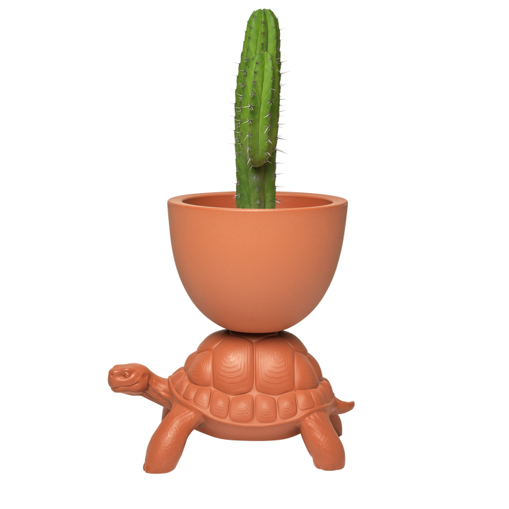 Turtle Carry Planter and Champagne Cooler