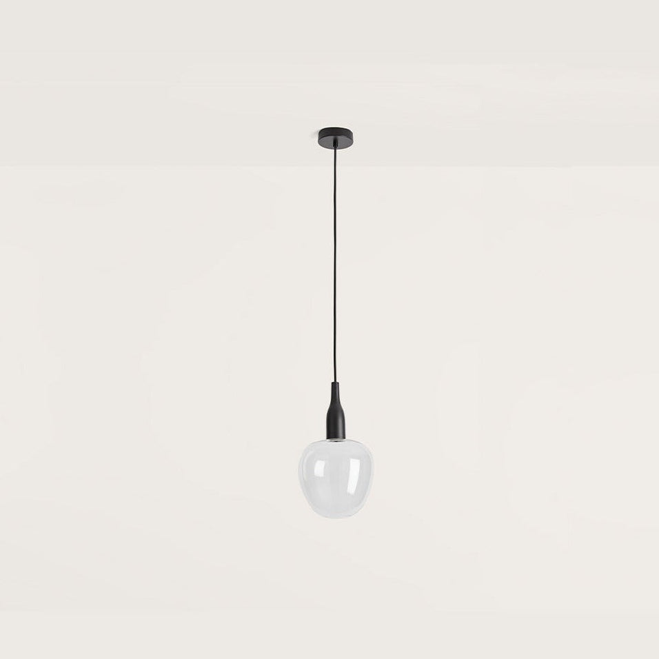 C1012 Pendant Lamp with clear glass shade, black stem and black ceiling canopy by Aromas del Campo